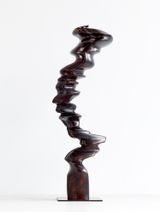 Ivy by Tony Cragg contemporary artwork sculpture