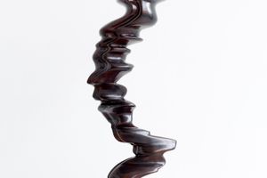 Tony Cragg