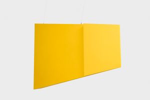 Helio Oiticica
