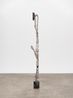 Totem Alba by Anderson Borba contemporary artwork Sculpture