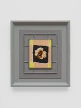 Hollyhock by Noam Rappaport contemporary artwork painting