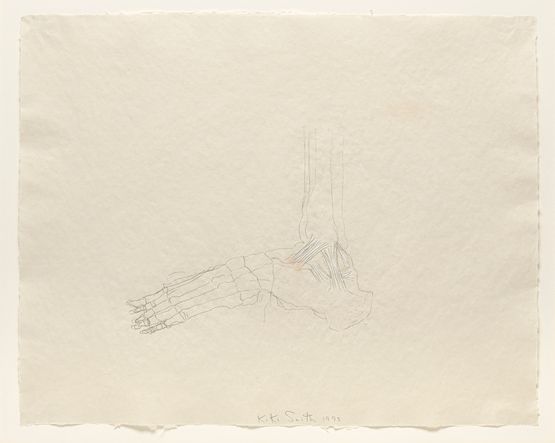 Avebury Drawing Foot by Kiki Smith contemporary artwork Works on Paper