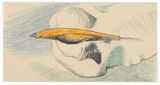 No title by Lee Lozano contemporary artwork drawing works on paper