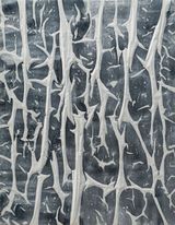 Untitled by Kwon Young-Woo contemporary artwork painting