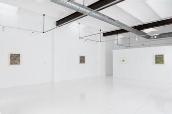 Contemporary art exhibition David Macho Como pollo sin cabeza at Alzueta Gallery Seneca Spain