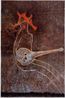 Gitar calan Playing the guitar by Azade Koker contemporary artwork Painting