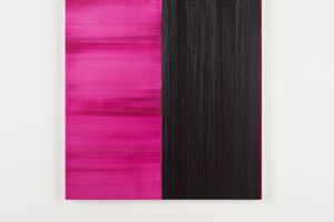 Callum Innes