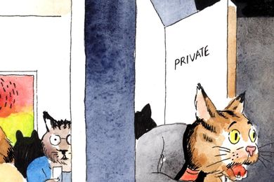 Illustration by Antoine Cossé for Ocula.