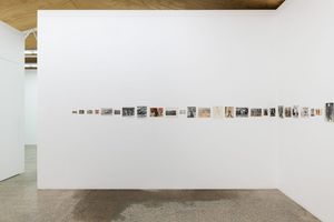 Patrick Pound