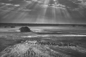 Sebastiao Salgado
