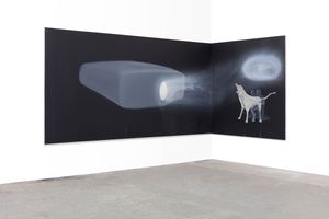 Tala Madani