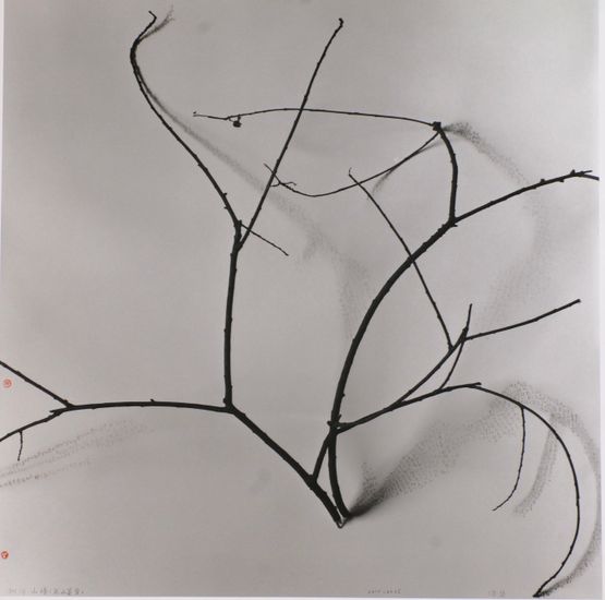Whispers of Trees - Hawthorn The Cold Mountain Wild Vines by Chu Chu contemporary artwork Works on Paper