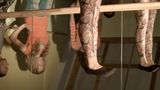 Untitled by Alice Wang contemporary artwork moving image