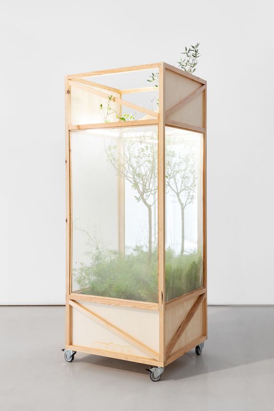 Mirages by Monica De Miranda contemporary artwork Sculpture