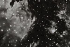 Robert Longo