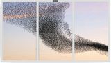 Coded Nature 1 by DRIFT contemporary artwork sculpture