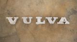 VULVA VOLVO by Fiona Banner Aka The Vanity Press contemporary artwork sculpture