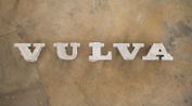 VULVA VOLVO by Fiona Banner Aka The Vanity Press contemporary artwork Sculpture