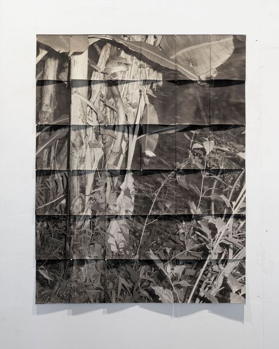 Evening at Muddovaddo by Tenzing Dakpa contemporary artwork Photography