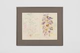 Sunflower by Stefan Bertalan contemporary artwork drawing works on paper