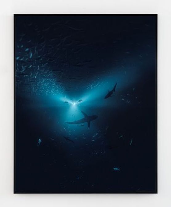 Midnight Zone - 98 Fathoms by Julian Charriere contemporary artwork Print