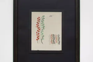 Sonia Delaunay
