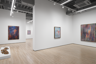 Contemporary art exhibition Thu-Van Tran No Longer Day Not Yet Night at Almine Rech Shanghai China