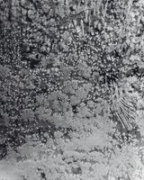 Crystals II by Tomoko Yoneda contemporary artwork photography