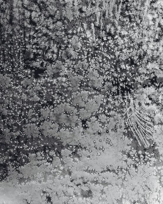 Crystals II by Tomoko Yoneda contemporary artwork Photography