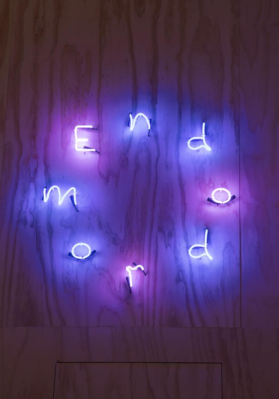 Endodrome by Dominique Gonzalez-Foerster contemporary artwork Sculpture