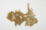Isle 2 by Ghassan Zard contemporary artwork sculpture