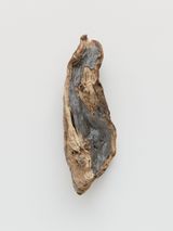 Vicitin by Edith Dekyndt contemporary artwork print sculpture