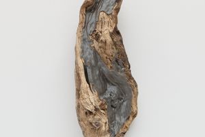 Edith Dekyndt