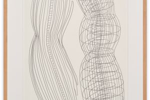 Tony Cragg
