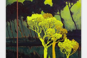 Whitney Bedford