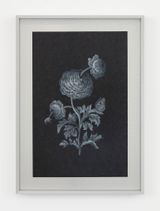 Future Herbarium by Laurent Grasso contemporary artwork painting