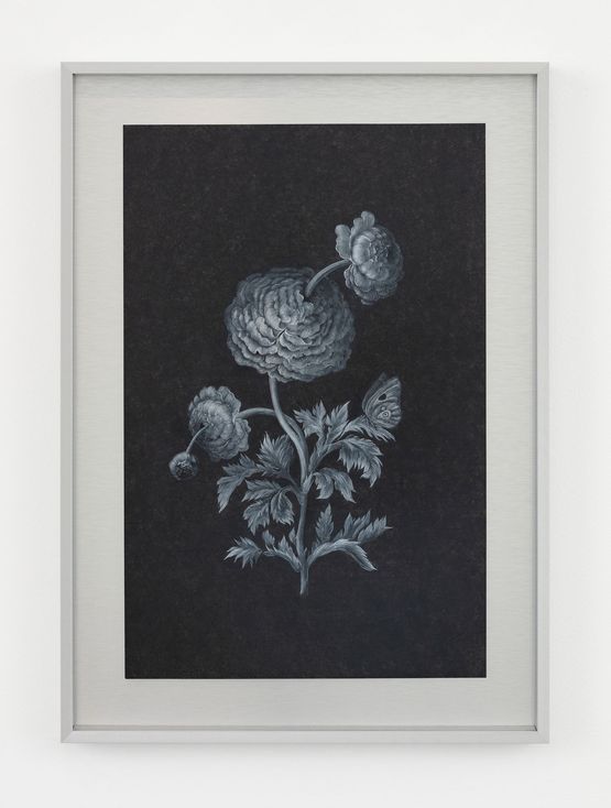 Future Herbarium by Laurent Grasso contemporary artwork Painting