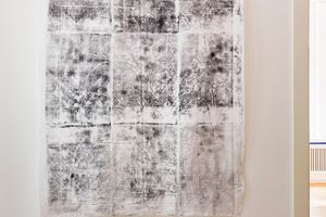 Judith Raum