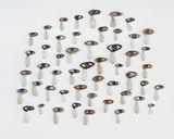Crying Eyes Set of 30 by Pam Lins contemporary artwork sculpture