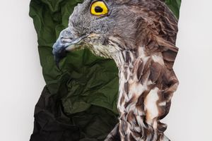 Marcus Coates