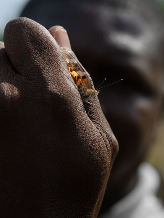 Mickael Holding a Painted Lady Butterfly Cote dIvoire by Lucas Foglia contemporary artwork Print