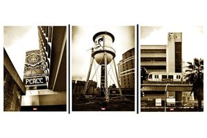 Shepard Fairey