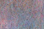 Kadar Brock contemporary artist