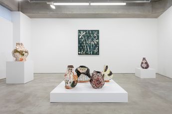 Contemporary art exhibition Jennifer Rochlin California dreamin  On such a winters day at MAKI Omotesando Tokyo Japan