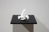 Eidolon 4 by Anne Noble contemporary artwork sculpture
