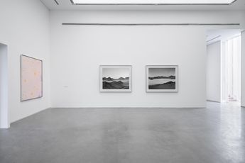 Contemporary art exhibition Jiang Pengyi Birds Bring Forth the Sun at ShanghART Westbund Shanghai China