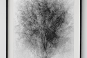 Idris Khan