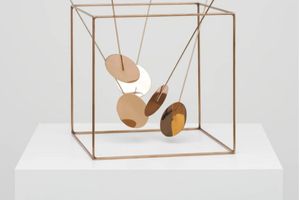 Lygia Pape