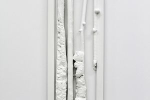 Julia Morison