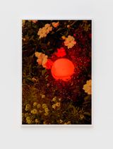 Glowing Orb on 91st and ShoreFront Parkway by Roe Ethridge contemporary artwork painting print